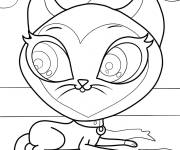 Coloriage Chat Scout Kerry se repose Petshop