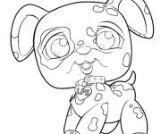 Coloriage et dessins gratuit Chien mandelerien Petshop à imprimer