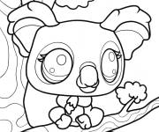 Coloriage Koala sur la terre de Petshop