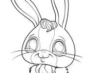 Coloriage Lapin Littlest Petshop
