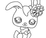 Coloriage Li&egrave;vre dde Petshop