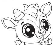 Coloriage Quincy mignon de Petshop