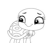 Coloriage Tortue Olive Shellstein de Petshop