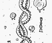 Coloriage ADN fran&ccedil;ais humoristique