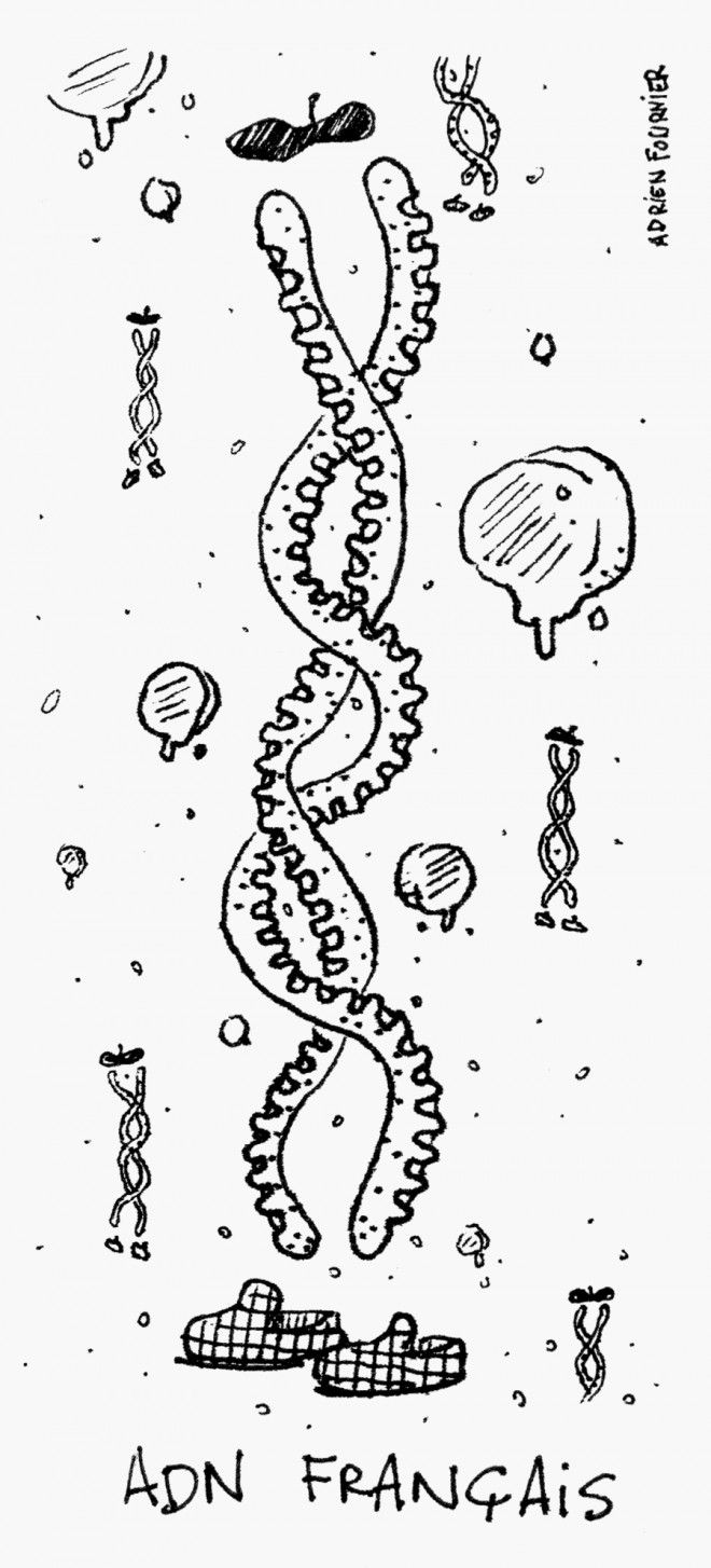 Coloriage et dessins gratuits ADN français humoristique à imprimer