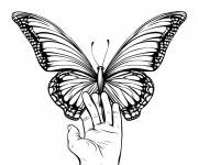 Coloriage La main touche le papillon
