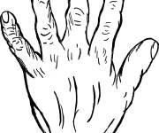 Coloriage Main d'un veille homme