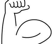 Coloriage Main et bras muscl&eacute;