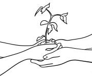 Coloriage Mains tenant une pousse