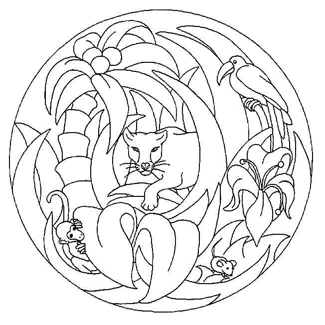 Coloriage Mandala Animaux Jungle Dessin Gratuit à Imprimer