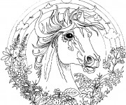 Coloriage et dessins gratuit Mandala cheval à imprimer