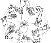 Coloriage Mandala Chevaux difficile
