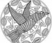 Coloriage et dessins gratuit Mandala Colibris à imprimer