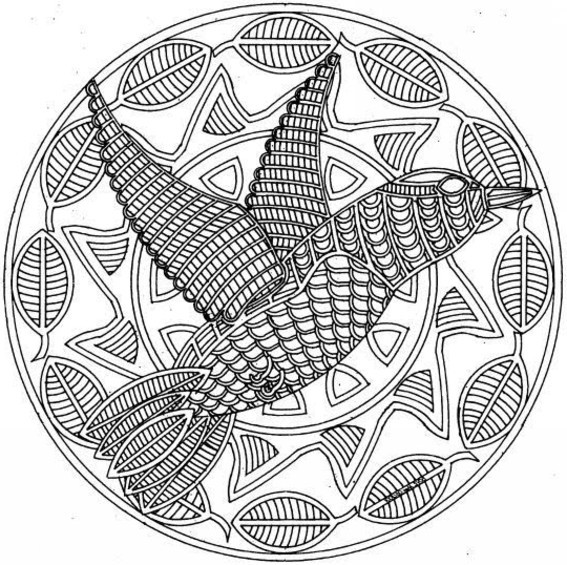 Coloriage Mandala Colibris Dessin Gratuit à Imprimer