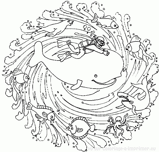 Coloriage et dessins gratuits Mandalas Animaux de Fond marin à imprimer