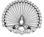 Coloriage Mandalas animaux Paon