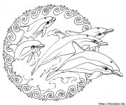 Coloriage Mandalas Dauphins adulte