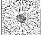 Coloriage Mandalas Fleur Printemps