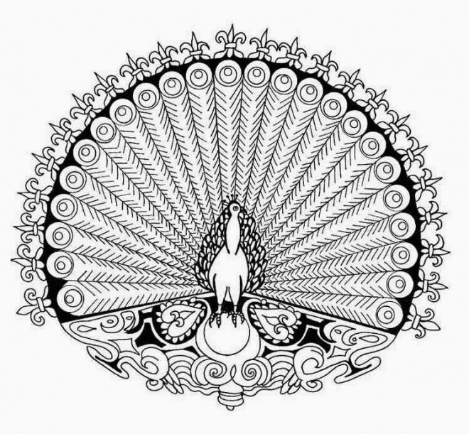 Coloriage Mandalas Paon En Couleur Dessin Gratuit A Imprimer
