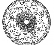 Coloriage Mandalas Poissons de tout type