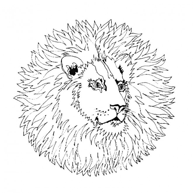 Coloriage et dessins gratuits Mandala Tête de Lion à imprimer