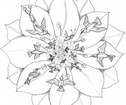 Coloriage et dessins gratuit Mandala Fleurs et Oiseaux à imprimer