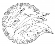 Coloriage Mandalas Dauphins