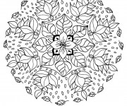 Coloriage Mandalas Fleurs couleur