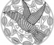 Coloriage Mandala Oiseau