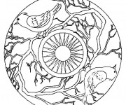 Coloriage Mandala Oiseaux et Soleil