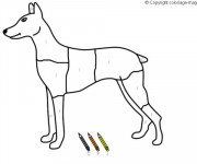 Coloriage Mathématique Chien