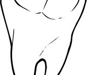 Coloriage Dent de Raseone