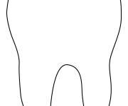 Coloriage Dent simple