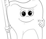 Coloriage Dent tenant une brosse
