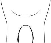 Coloriage Seule dent