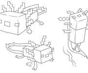 Coloriage Les Axolotl