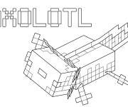 Coloriage Minecraft Axolotl
