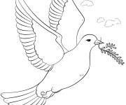 Coloriage Oiseau de la paix maternelle
