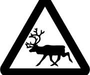 Coloriage Panneau attention de cerf