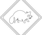 Coloriage Signalisation de passage de Raton Laveur