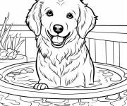 Coloriage Chien s'amusant dans une petite piscine