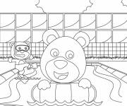 Coloriage Ours dans la piscine de dessin anim&eacute; ce1