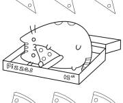 Coloriage Pusheen mangeant une pizza dans une boîte