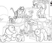 Coloriage Divers animaux du monde Playmobil