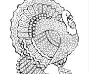 Coloriage Pop it dinde sauvage