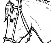 Coloriage Portrait Cheval en noir et blanc