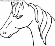 Coloriage Tête de Cheval simple dessin gratuit à imprimer