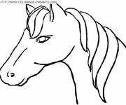 Coloriage Tête de Cheval simple