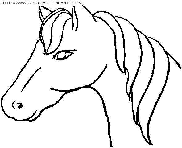 Coloriage Tête De Cheval Simple Dessin Gratuit à Imprimer