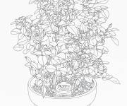 Coloriage De magnifiques roses plant&eacute;es dans un pot